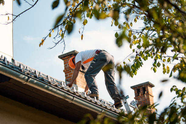 Quick and Trustworthy Emergency Roof Repair Services in Hoffman Estates, IL